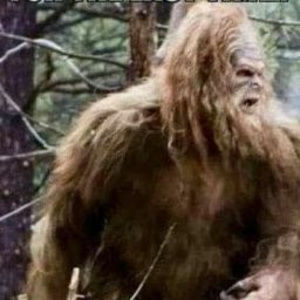 Meet your Posher, Vance